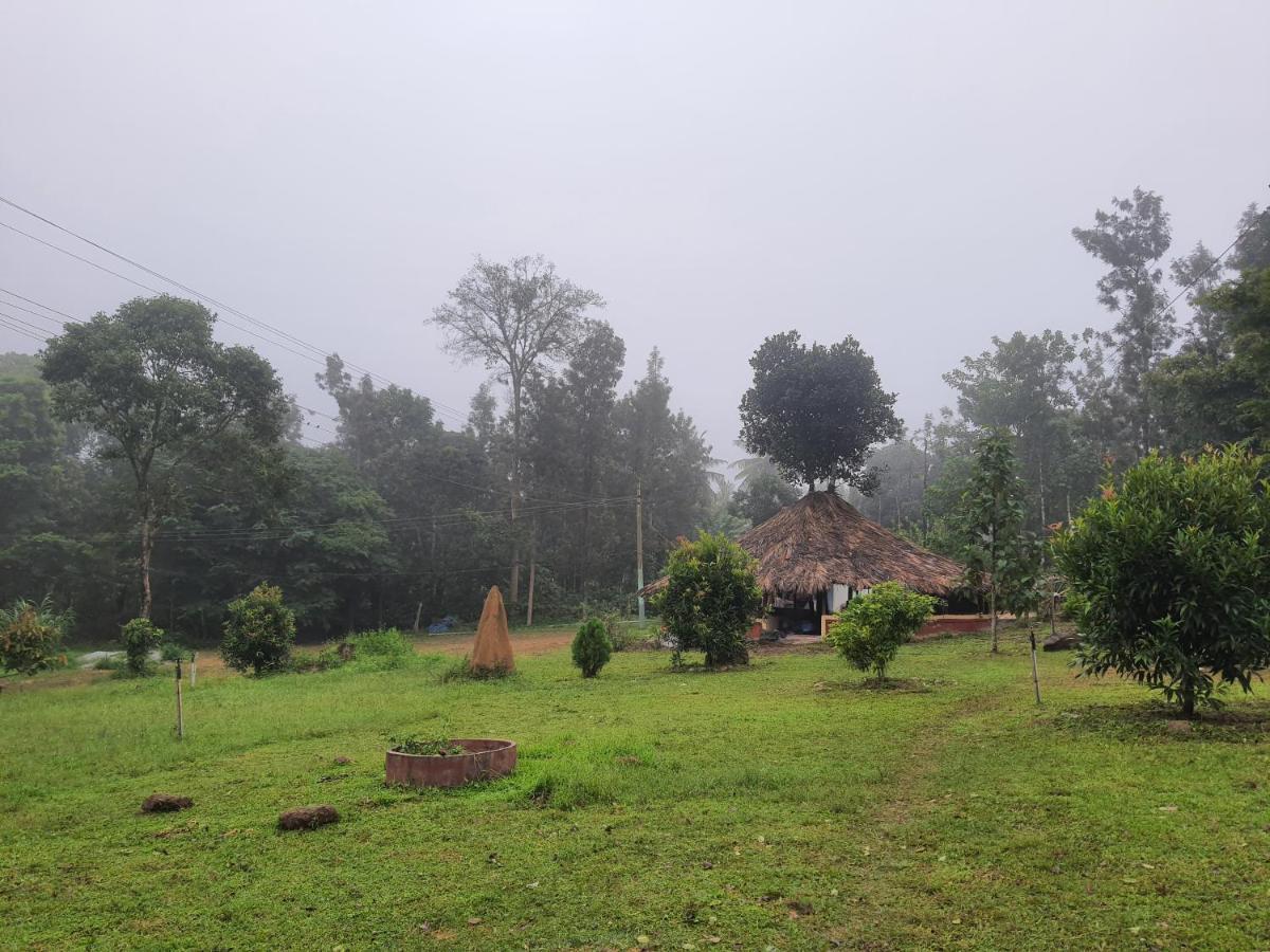 Stoneage Resort Sakleshpur Buitenkant foto