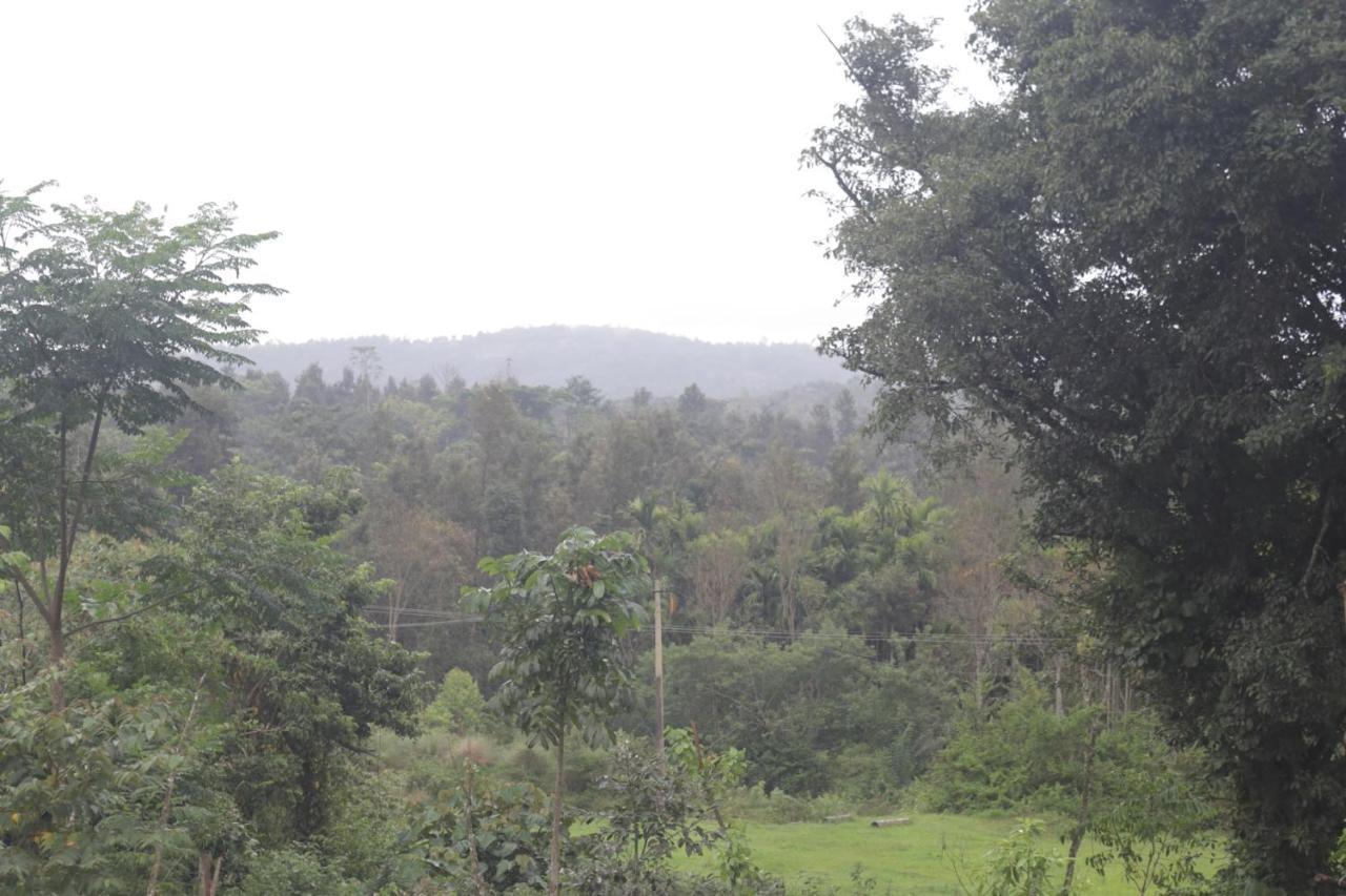 Stoneage Resort Sakleshpur Buitenkant foto