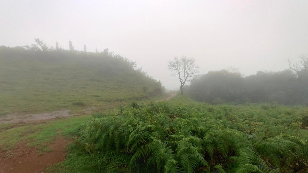 Stoneage Resort Sakleshpur Buitenkant foto