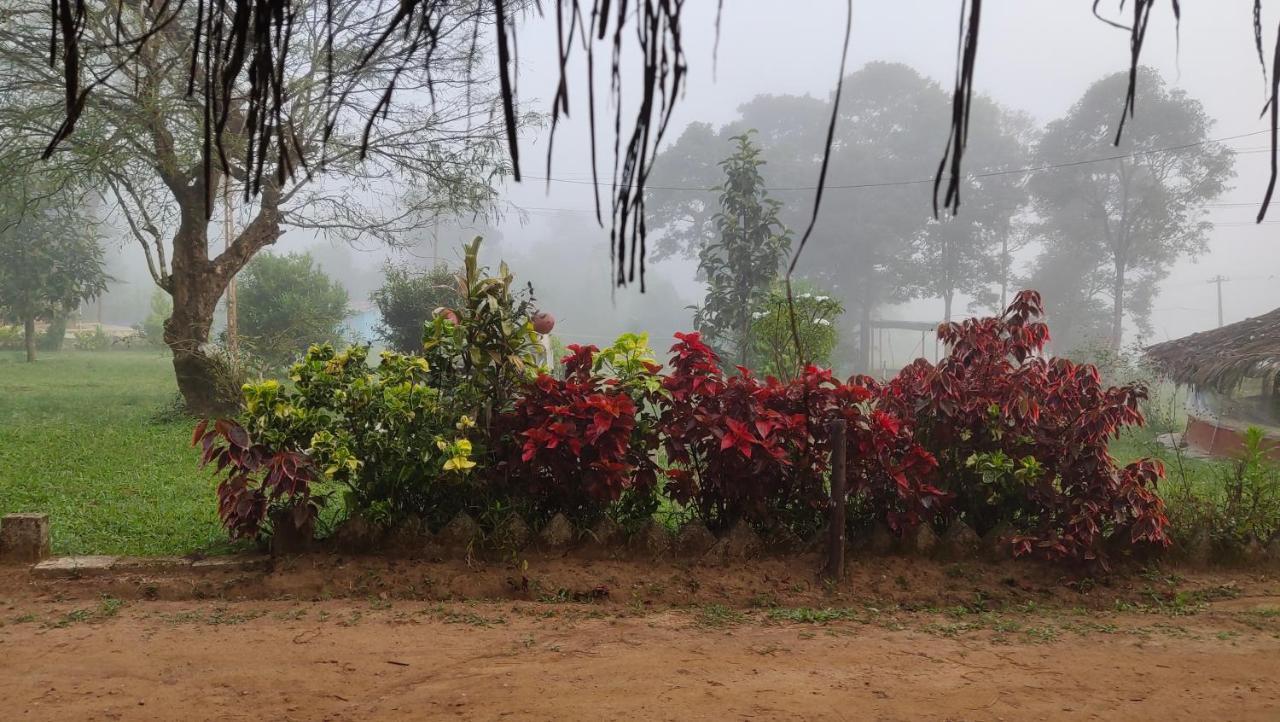Stoneage Resort Sakleshpur Buitenkant foto